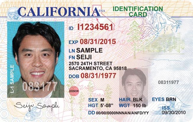 Driver's License Example