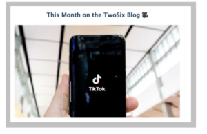 excerpt from TwoSix Digital's e-newsletter