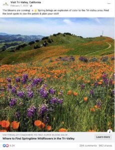 A Facebook link post from Visit Tri-Valley in California. It's about where to find wild flowers in the area, and it has a gorgeous image with rolling hills covered in wildflowers.