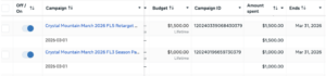 Meta ads glitch lifetime budget screenshot