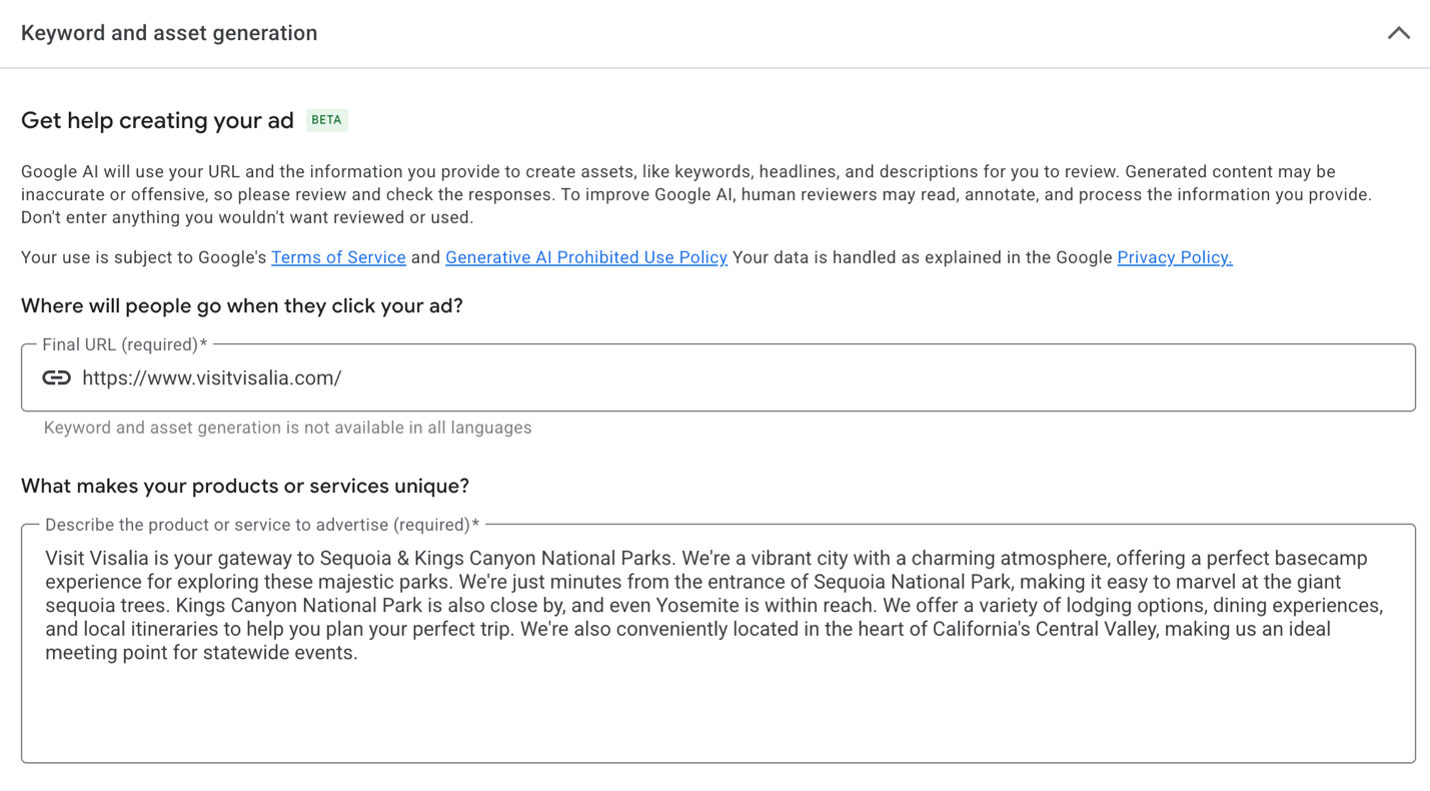 Google Describe Your Audience Screenshot